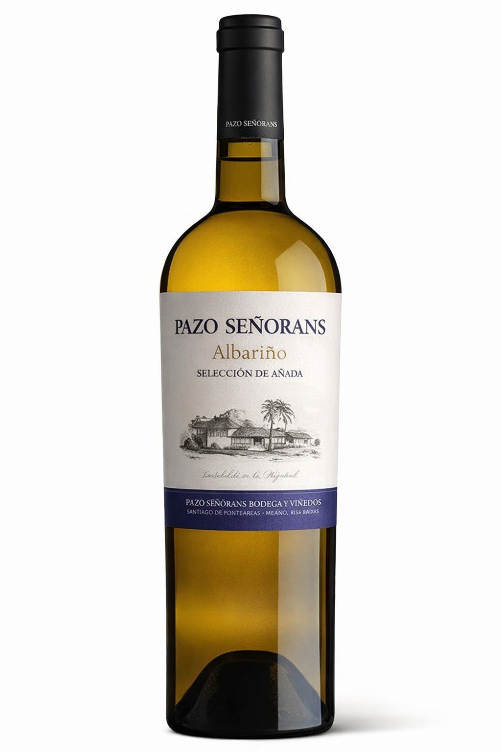 Pazo Senorans Vinho Albarino Seleccion de Anada Branco 2011, 0.75cl