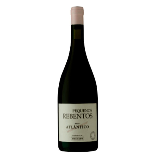 Pequenos Rebentos Atlântico Tinto 2022 - Vinho Verde Tinto Leve