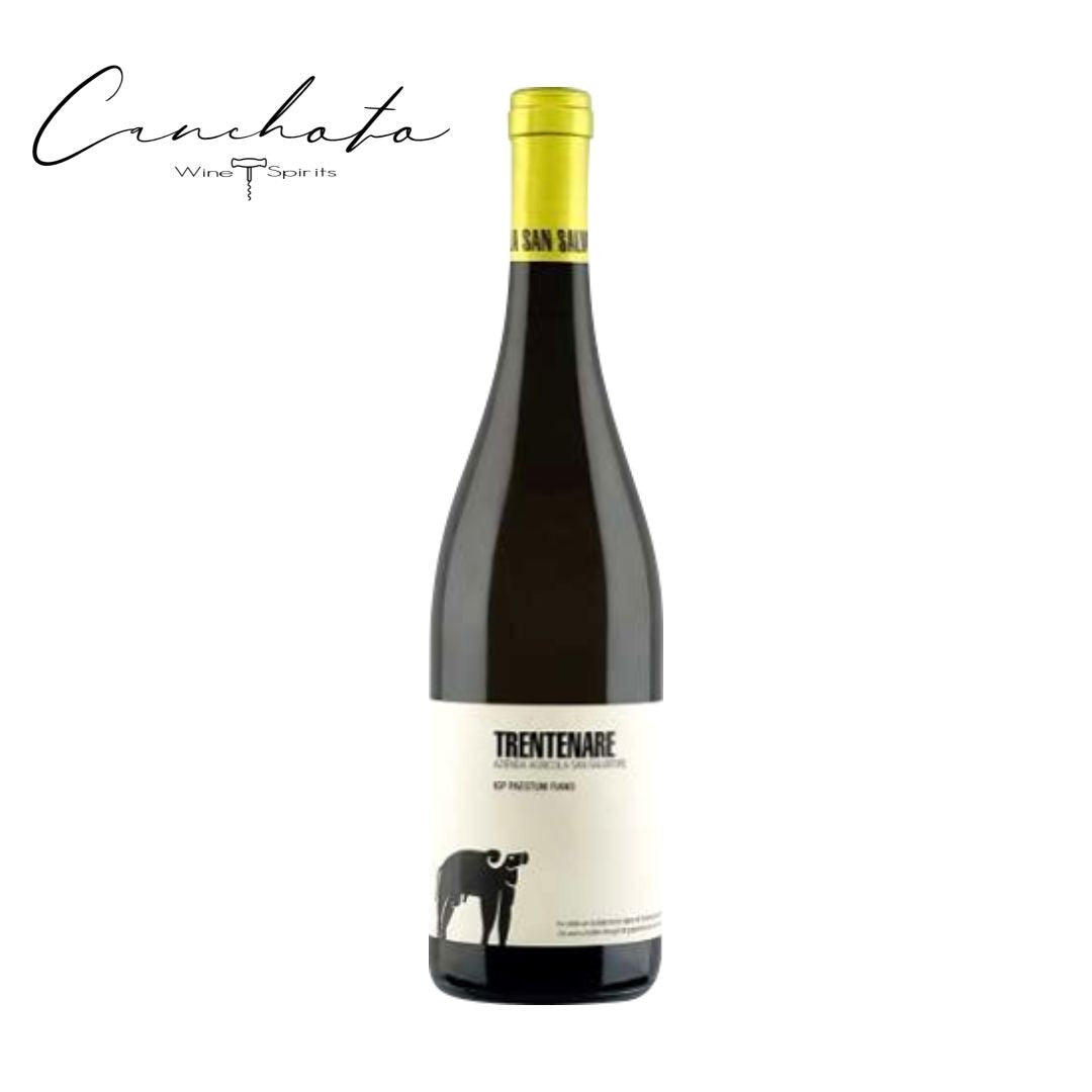 San Salvatore 1988 Trentenare Paestum Fiano IGP 2023