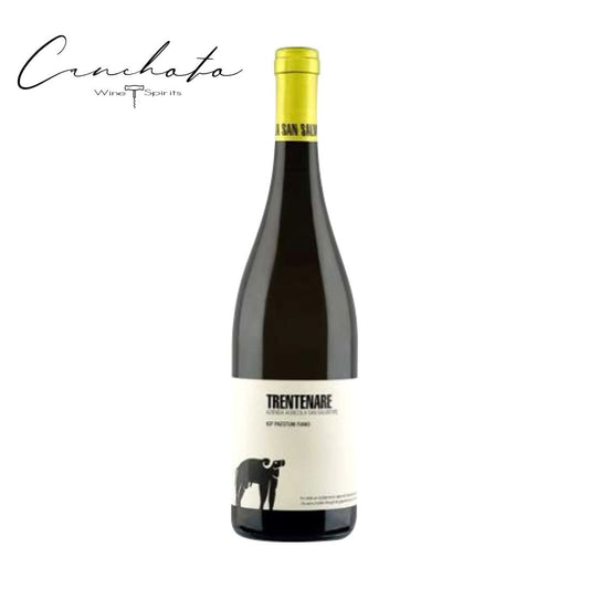 San Salvatore 1988 Trentenare Paestum Fiano IGP 2023