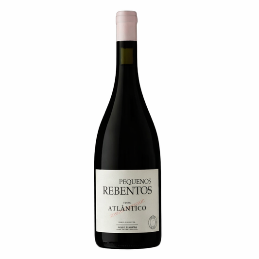 Pequenos Rebentos Atlântico Tinto 2022 - leichter Rotwein aus dem Vinho Verde