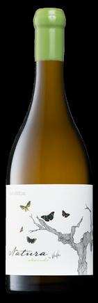 Alvarinho Pedra Mãe 2024 — 75 cl