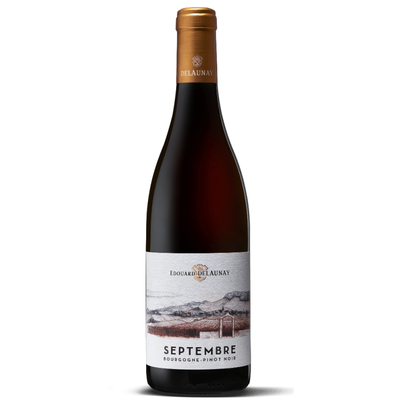 Vinho Tinto Edouard Delaunay Septembre Bourgogne Pinot Noir 2023, 75cl Borgonha, França (13%)