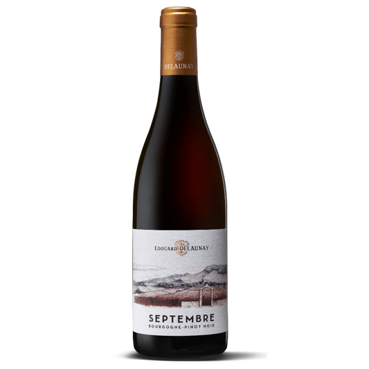 Vinho Tinto Edouard Delaunay Septembre Bourgogne Pinot Noir 2023, 75cl Borgonha, França (13%)