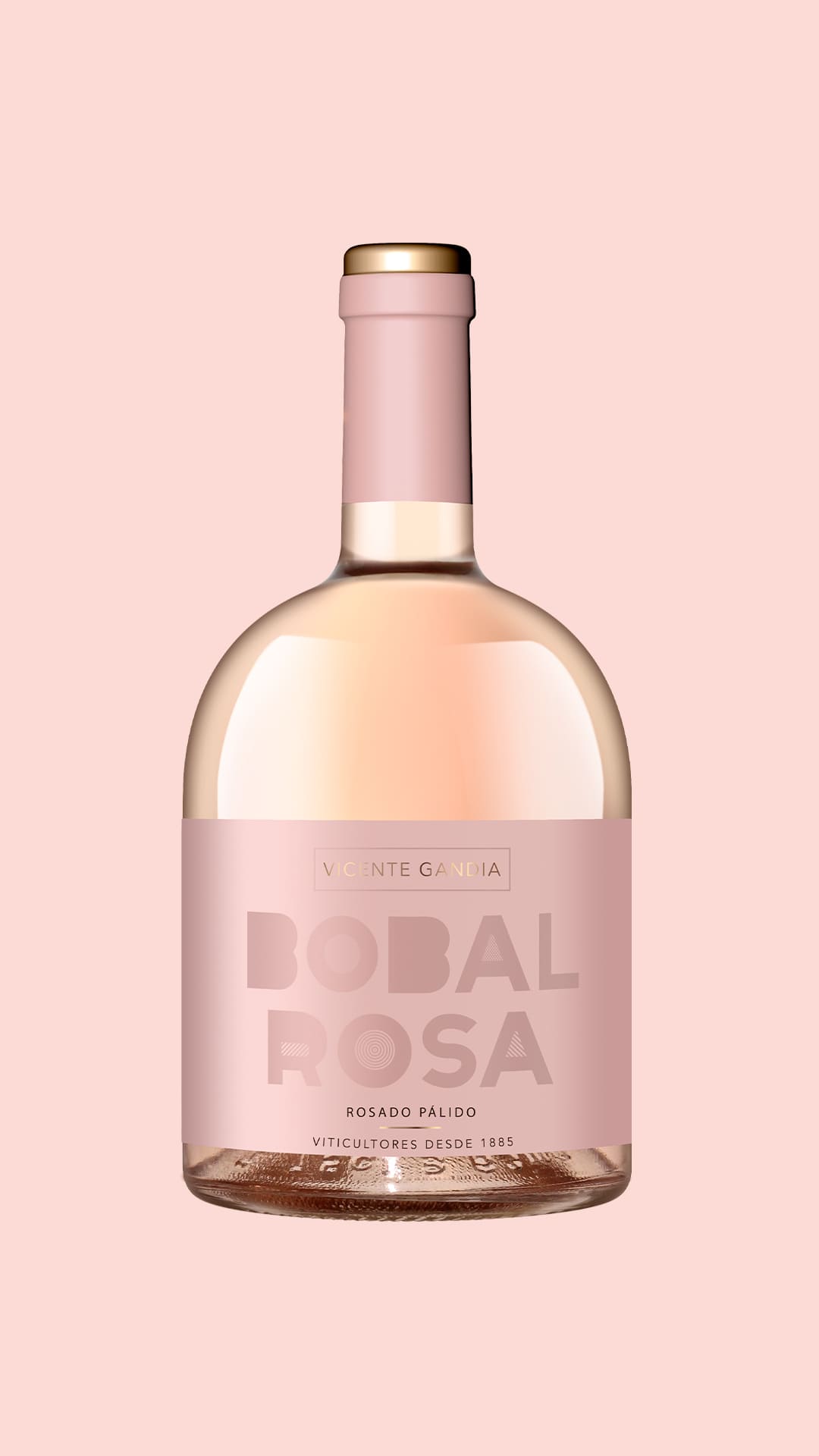Vicente Gandia Bobal by Pepe Hidalgo Rosé 2024